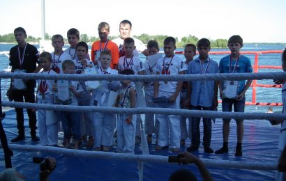 Фестиваль боевых искусств 27.07.14