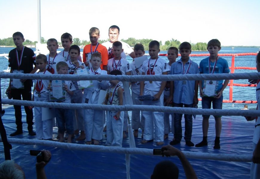 Фестиваль боевых искусств 27.07.14