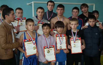 Соревнования по боксу, кикбоксингу