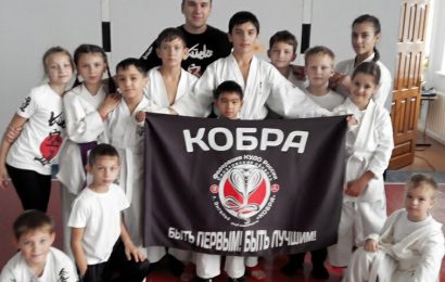 Показательное выступление в рамках отчета по реализации программы развития школ Энгельсского района Показательное выступление в рамках отчета по реализации программы развития школ Энгельсского района