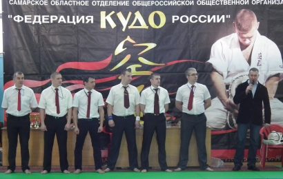 Первенство Самарской области по Кудо 2015