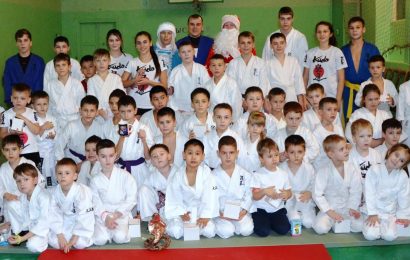 2016 ударов кулаком