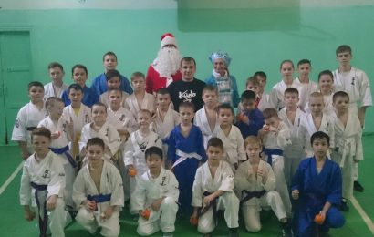 2017 УДАРОВ В СТЕПНОМ, РОВНОМ, ЭНГЕЛЬСЕ