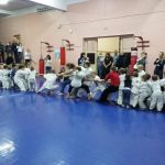 клуб единоборств кобра кудо