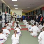 единоборства саратовской области