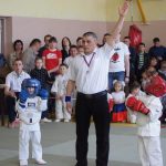 турнир по смешанным единоборствам