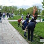 кобра энгельс