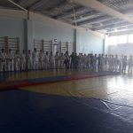 кобра степное