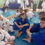 Федерация кудо России