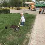 аллея ке кобра