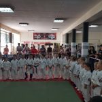 энгельс единоборства