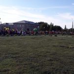 кобра энгельс