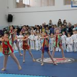 кубок главы города Энгельса