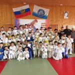 дзюдо кобра
