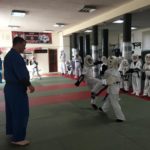 кудо россия
