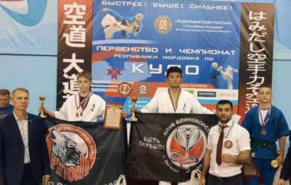 ПЕРВЕНСТВО И ФЕСТИВАЛЬ ПО КУДО МОРДОВИЯ ПЕРВЕНСТВО И ФЕСТИВАЛЬ ПО КУДО МОРДОВИЯ