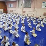 всестилевое карате саратов