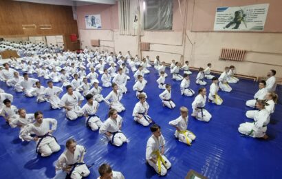 Масштабная аттестация по виду спорта всестилевое карате (раздел ОК)